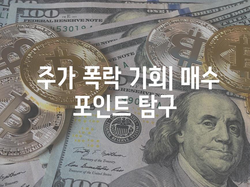  주가 폭락 기회| 매수 포인트 탐구