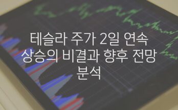 테슬라 주가 2일 연속 상승의 비결과 향후 전망 분석