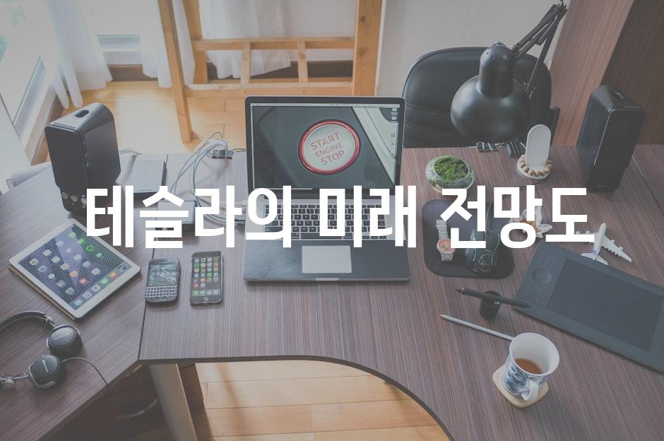  테슬라의 미래 전망도