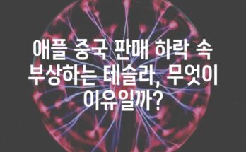 애플 중국 판매 하락 속 부상하는 테슬라, 무엇이 이유일까?