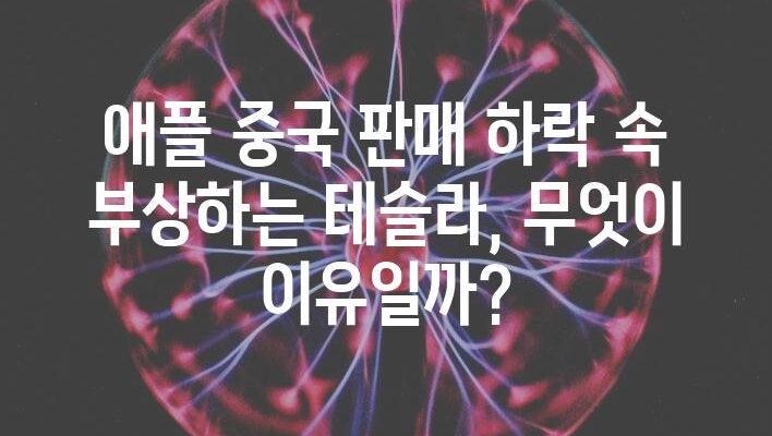 애플 중국 판매 하락 속 부상하는 테슬라, 무엇이 이유일까?