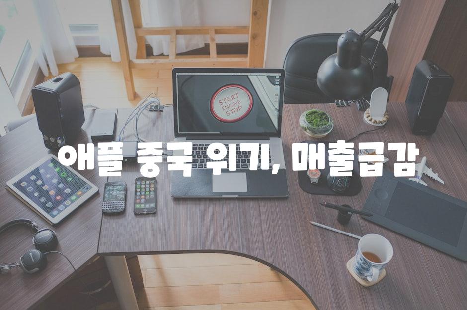  애플 중국 위기, 매출급감