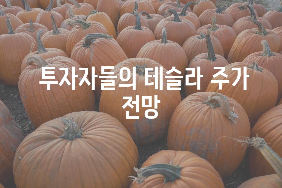  투자자들의 테슬라 주가 전망