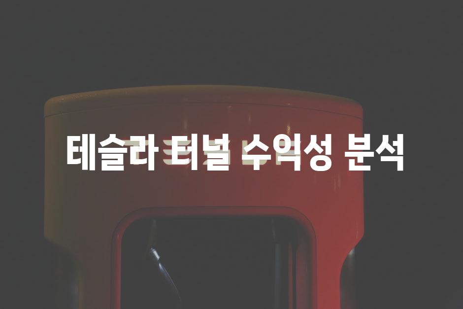  테슬라 터널 수익성 분석