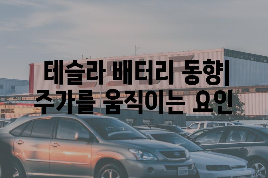  테슬라 배터리 동향| 주가를 움직이는 요인