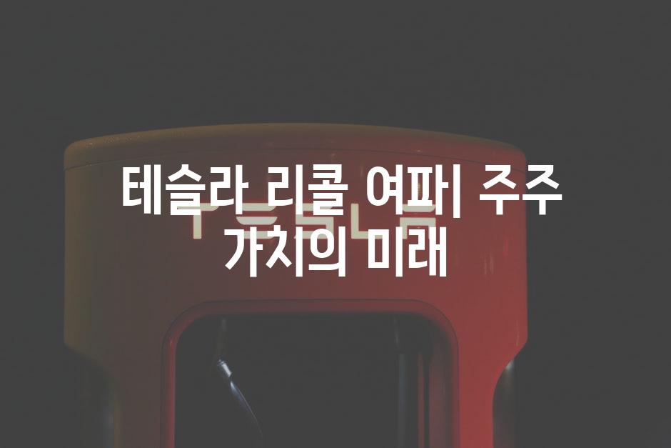  테슬라 리콜 여파| 주주 가치의 미래