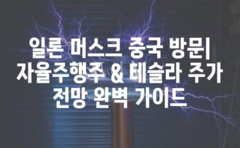 일론 머스크 중국 방문| 자율주행주 & 테슬라 주가 전망 완벽 가이드