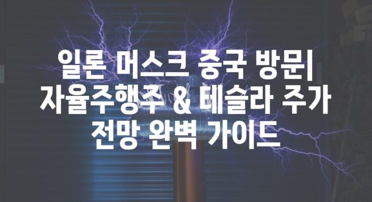 일론 머스크 중국 방문| 자율주행주 & 테슬라 주가 전망 완벽 가이드