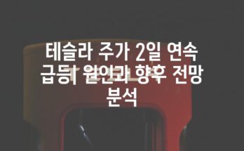 테슬라 주가 2일 연속 급등| 원인과 향후 전망 분석