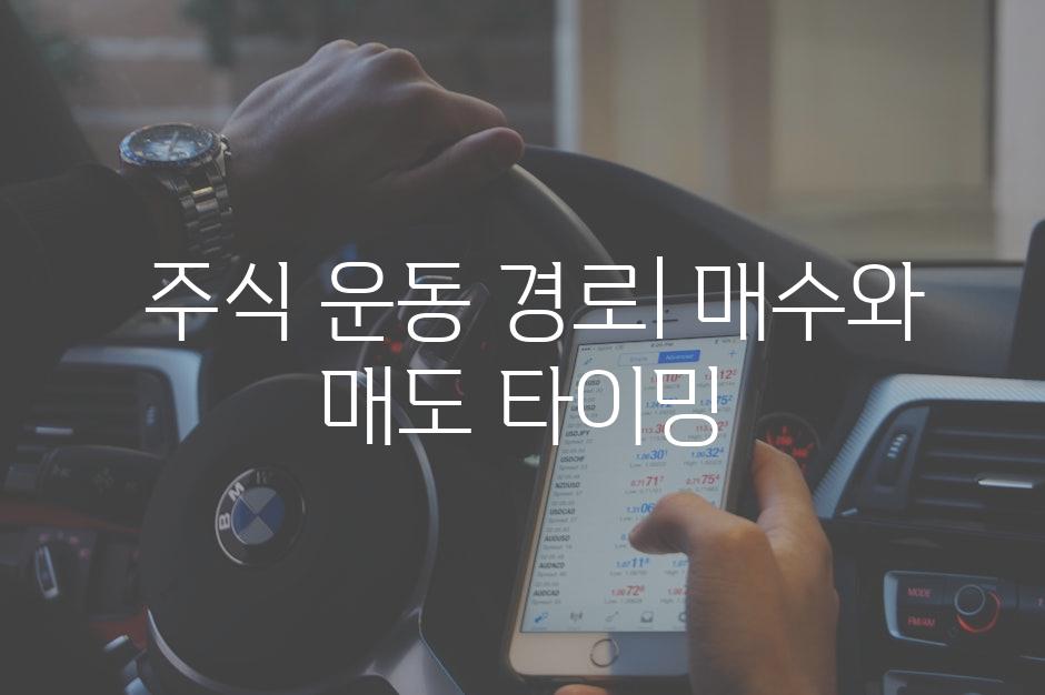  투자자 전략| 변동성 활용 가이드