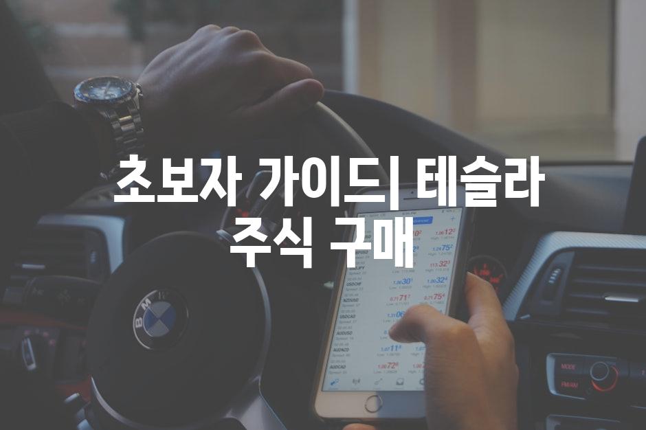  초보자 가이드| 테슬라 주식 구매