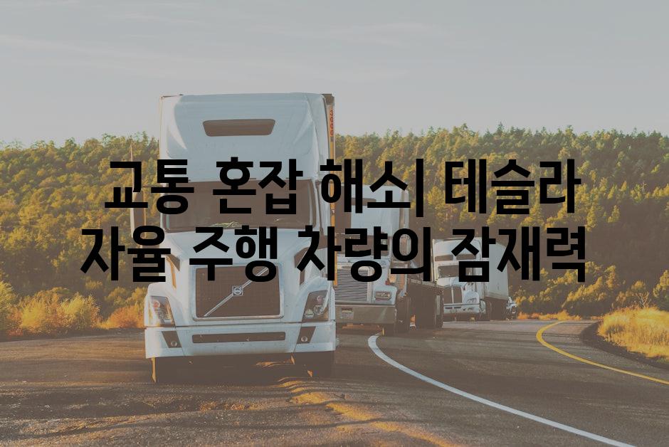  교통 혼잡 해소| 테슬라 자율 주행 차량의 잠재력