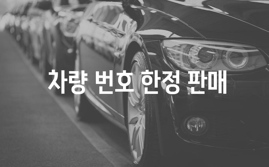  차량 번호 한정 판매