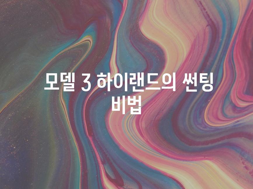  모델 3 하이랜드의 썬팅 비법