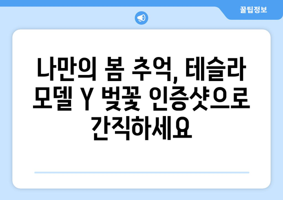 테슬라 모델 Y 벚꽃 인증샷 챌린지| 당신의 봄을 담아보세요! | 테슬라, 모델 Y, 벚꽃, 이벤트, 챌린지, 인증샷