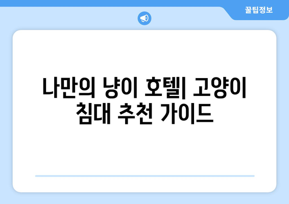 고양이 침대| 편안한 수면을 위한 완벽한 선택 가이드 | 고양이 침대 추천, 고양이 수면, 편안한 숙면