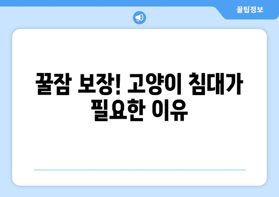 고양이 침대| 편안한 수면을 위한 완벽한 선택 가이드 | 고양이 침대 추천, 고양이 수면, 편안한 숙면