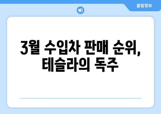 3월 수입차 판매 1위, 테슬라 모델 Y의 인기 비결 | 전기차 시장, 수입차 판매 순위, 테슬라