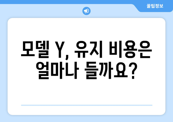 감세된 모델 Y, 전기차 소유 비용 절감의 지름길| 필수 가이드 | 테슬라, 전기차, 비용 절감, 보조금, 팁