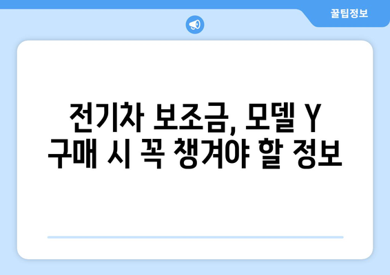 감세된 모델 Y, 전기차 소유 비용 절감의 지름길| 필수 가이드 | 테슬라, 전기차, 비용 절감, 보조금, 팁