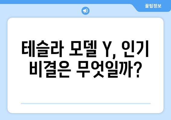 3월 수입차 판매 1위, 테슬라 모델 Y의 인기 비결 | 전기차 시장, 수입차 판매 순위, 테슬라