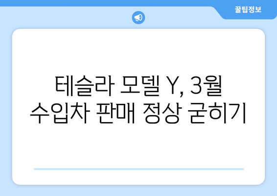 3월 수입차 판매 1위, 테슬라 모델 Y의 인기 비결 | 전기차 시장, 수입차 판매 순위, 테슬라