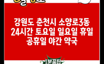 강원도 춘천시 소양로3동 24시간 토요일 일요일 휴일 공휴일 야간 약국