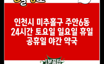 인천시 미추홀구 주안6동 24시간 토요일 일요일 휴일 공휴일 야간 약국