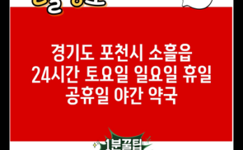 경기도 포천시 소흘읍 24시간 토요일 일요일 휴일 공휴일 야간 약국