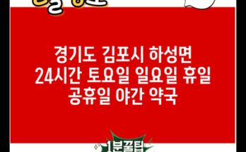 경기도 김포시 하성면 24시간 토요일 일요일 휴일 공휴일 야간 약국