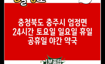 충청북도 충주시 엄정면 24시간 토요일 일요일 휴일 공휴일 야간 약국