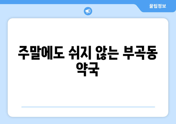 경기도 의왕시 부곡동 24시간 토요일 일요일 휴일 공휴일 야간 약국