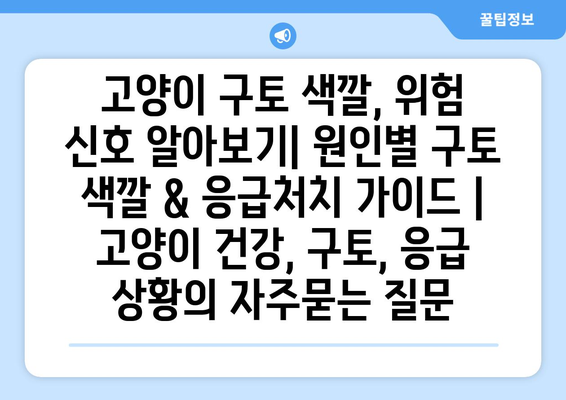 고양이 구토 색깔, 위험 신호 알아보기| 원인별 구토 색깔 & 응급처치 가이드 | 고양이 건강, 구토, 응급 상황