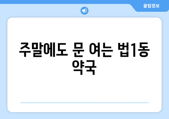 대전시 대덕구 법1동 24시간 토요일 일요일 휴일 공휴일 야간 약국