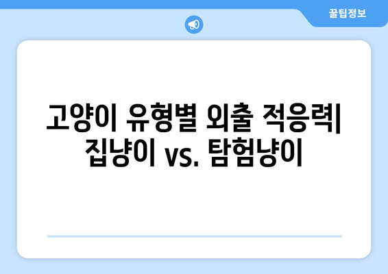 고양이와 함께하는 외출, 유대 종류별 특징 비교| 나에게 딱 맞는 동반자는? | 고양이, 외출,  유대