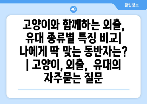 고양이와 함께하는 외출, 유대 종류별 특징 비교| 나에게 딱 맞는 동반자는? | 고양이, 외출,  유대