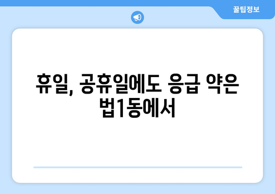 대전시 대덕구 법1동 24시간 토요일 일요일 휴일 공휴일 야간 약국