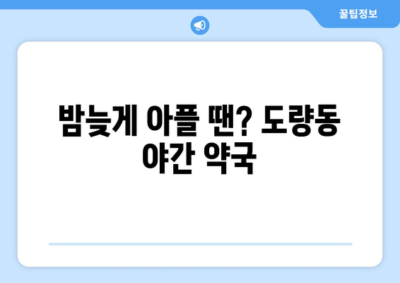 경상북도 구미시 도량동 24시간 토요일 일요일 휴일 공휴일 야간 약국