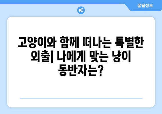 고양이와 함께하는 외출, 유대 종류별 특징 비교| 나에게 딱 맞는 동반자는? | 고양이, 외출,  유대