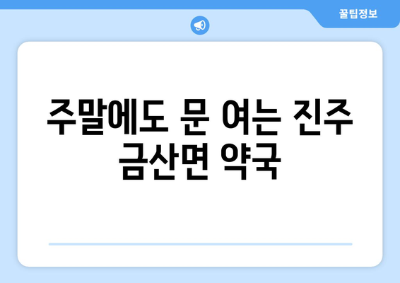 경상남도 진주시 금산면 24시간 토요일 일요일 휴일 공휴일 야간 약국