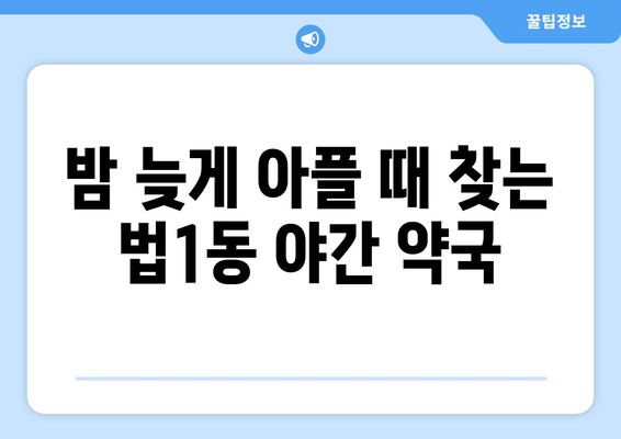 대전시 대덕구 법1동 24시간 토요일 일요일 휴일 공휴일 야간 약국