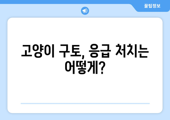 고양이 구토 색깔, 위험 신호 알아보기| 원인별 구토 색깔 & 응급처치 가이드 | 고양이 건강, 구토, 응급 상황