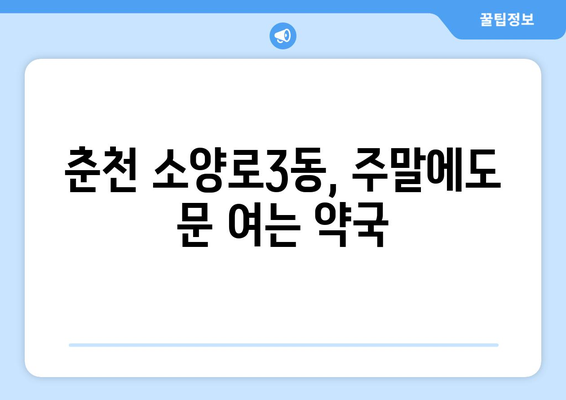 강원도 춘천시 소양로3동 24시간 토요일 일요일 휴일 공휴일 야간 약국