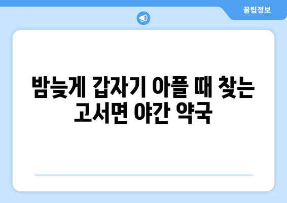 전라남도 담양군 고서면 24시간 토요일 일요일 휴일 공휴일 야간 약국