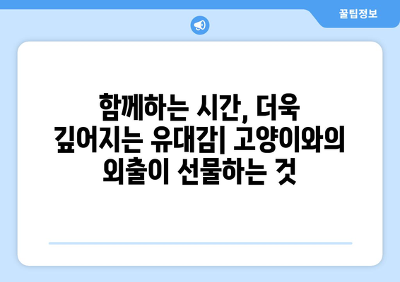 고양이와 함께하는 외출, 유대 종류별 특징 비교| 나에게 딱 맞는 동반자는? | 고양이, 외출,  유대