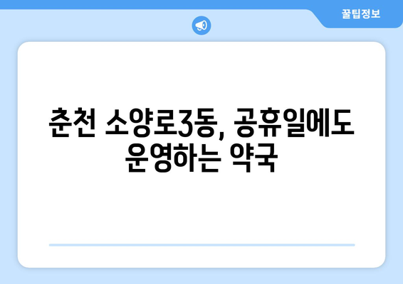 강원도 춘천시 소양로3동 24시간 토요일 일요일 휴일 공휴일 야간 약국