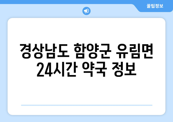 경상남도 함양군 유림면 24시간 토요일 일요일 휴일 공휴일 야간 약국