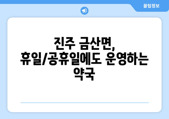 경상남도 진주시 금산면 24시간 토요일 일요일 휴일 공휴일 야간 약국