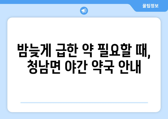 충청남도 청양군 청남면 24시간 토요일 일요일 휴일 공휴일 야간 약국