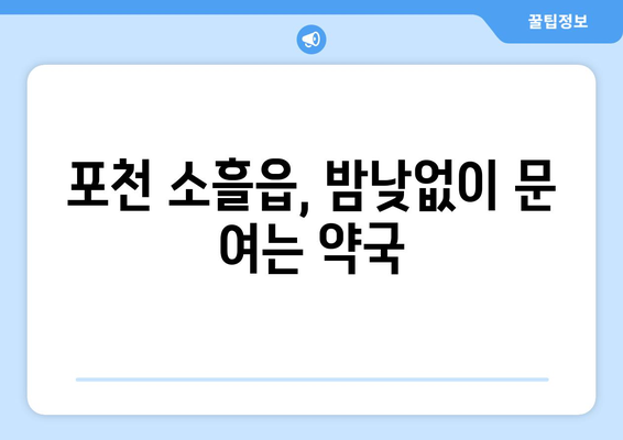 경기도 포천시 소흘읍 24시간 토요일 일요일 휴일 공휴일 야간 약국